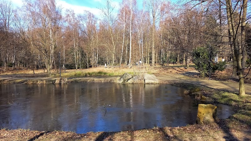 Silesian Park