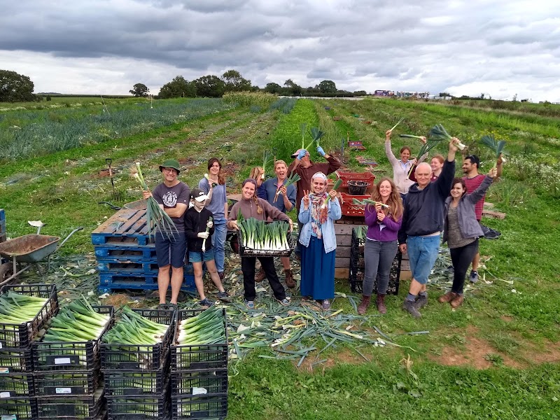 The Community Farm