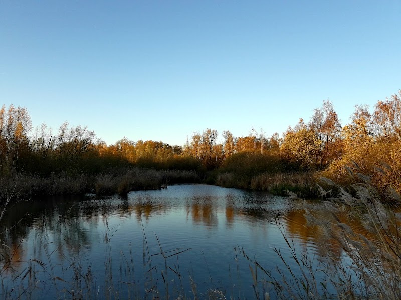 Middenvijver
