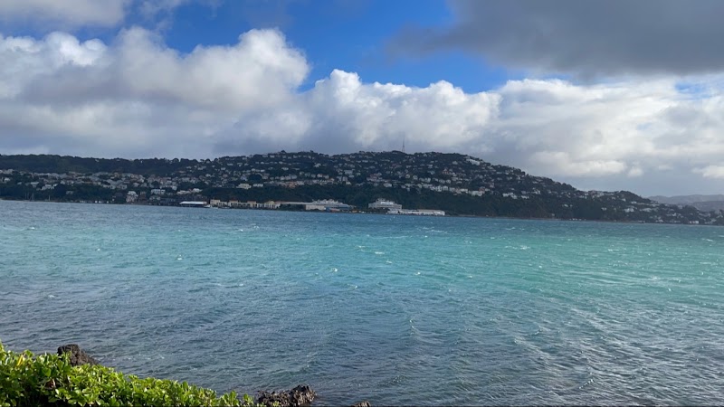 The Wharf, Wellington
