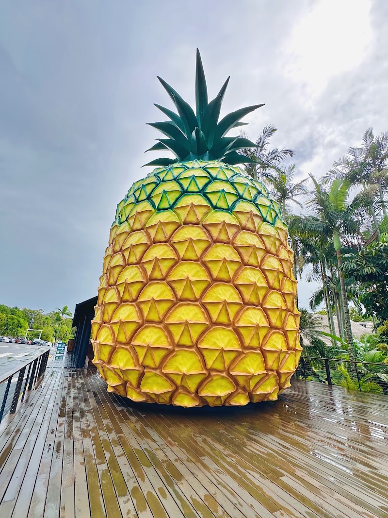 The Big Pineapple